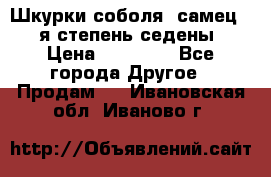 Шкурки соболя (самец) 1-я степень седены › Цена ­ 12 000 - Все города Другое » Продам   . Ивановская обл.,Иваново г.